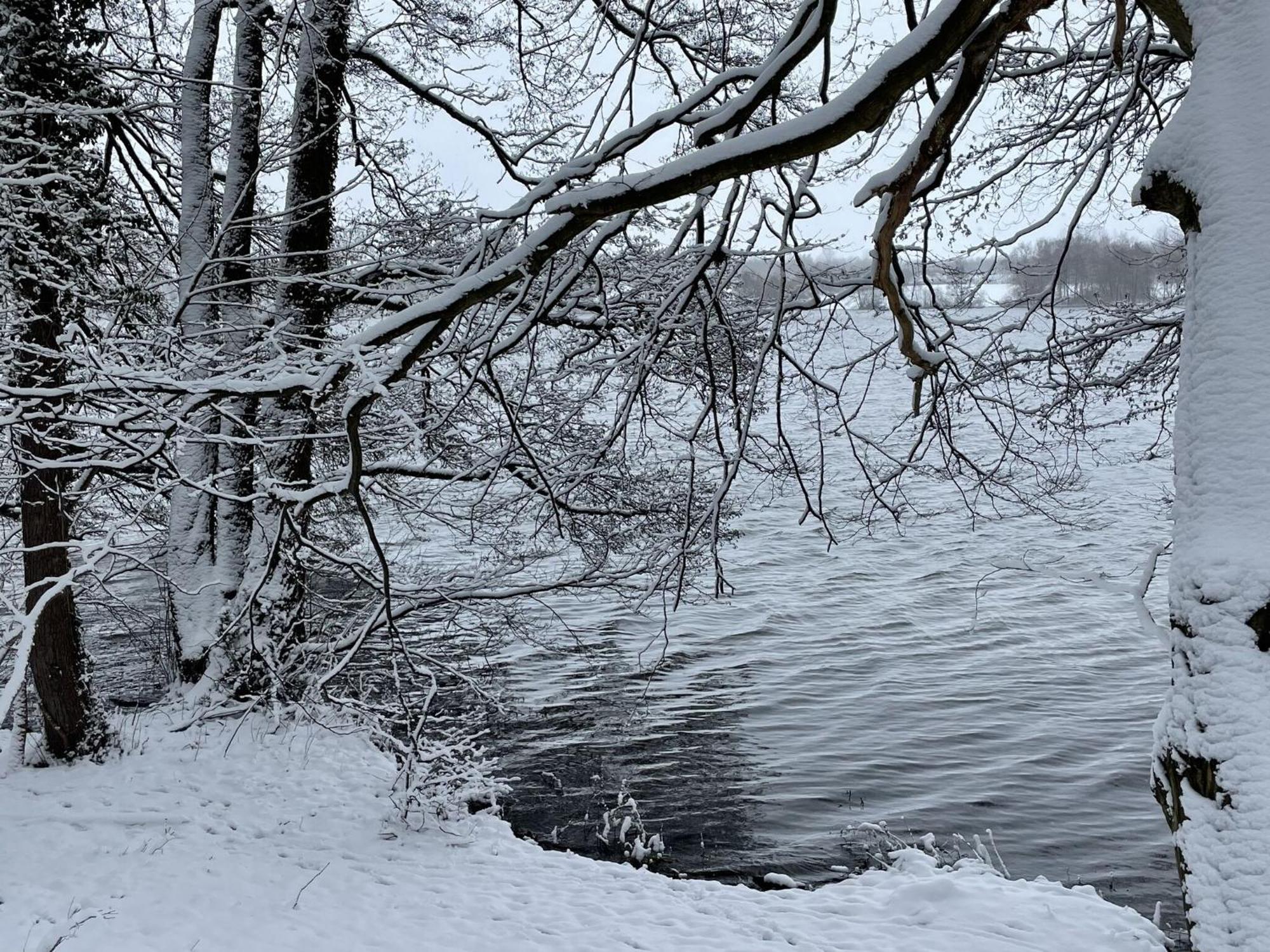 Flat In Eutin On The Kleiner Eutiner See Lake Exteriér fotografie
