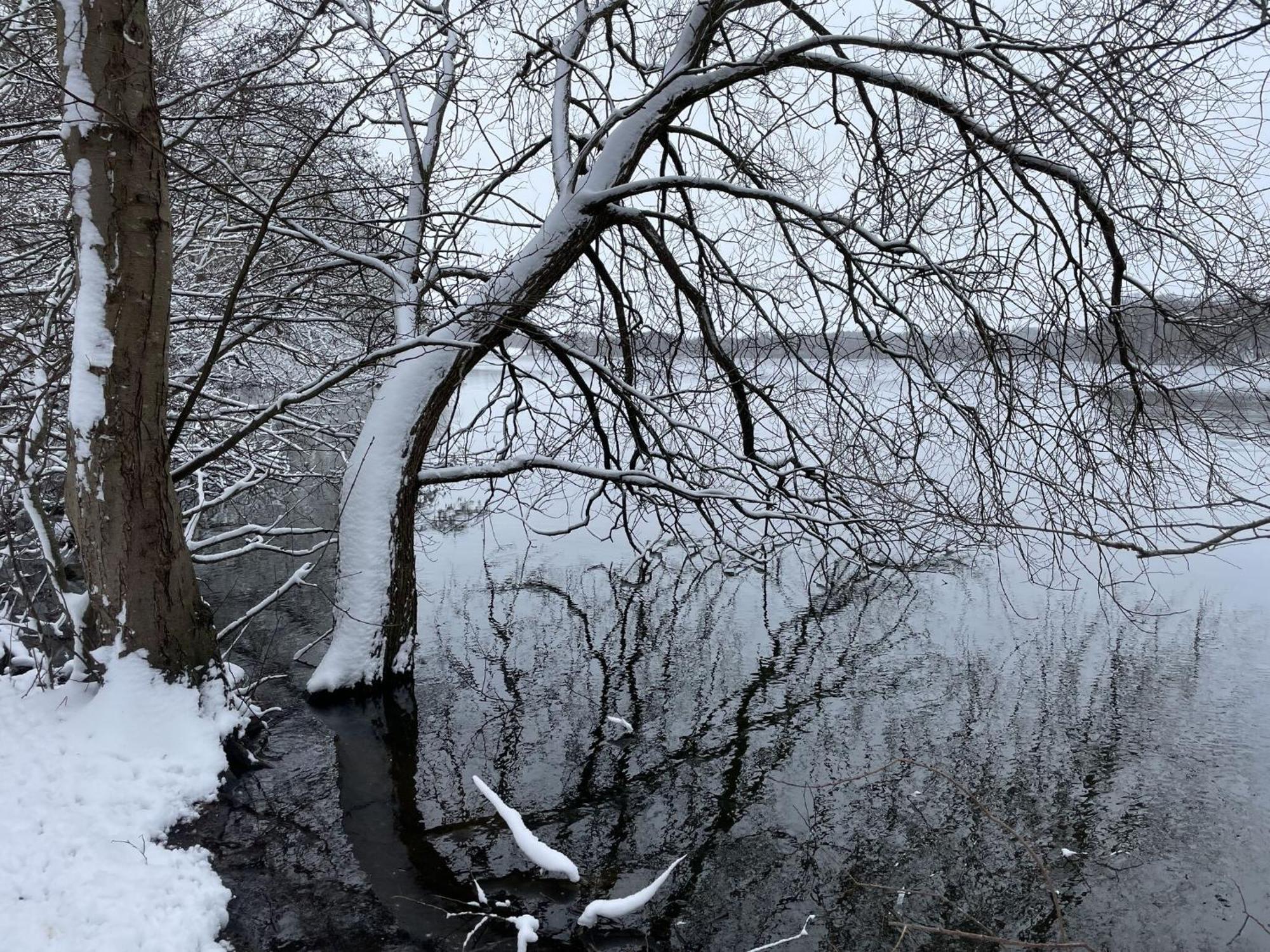 Flat In Eutin On The Kleiner Eutiner See Lake Exteriér fotografie