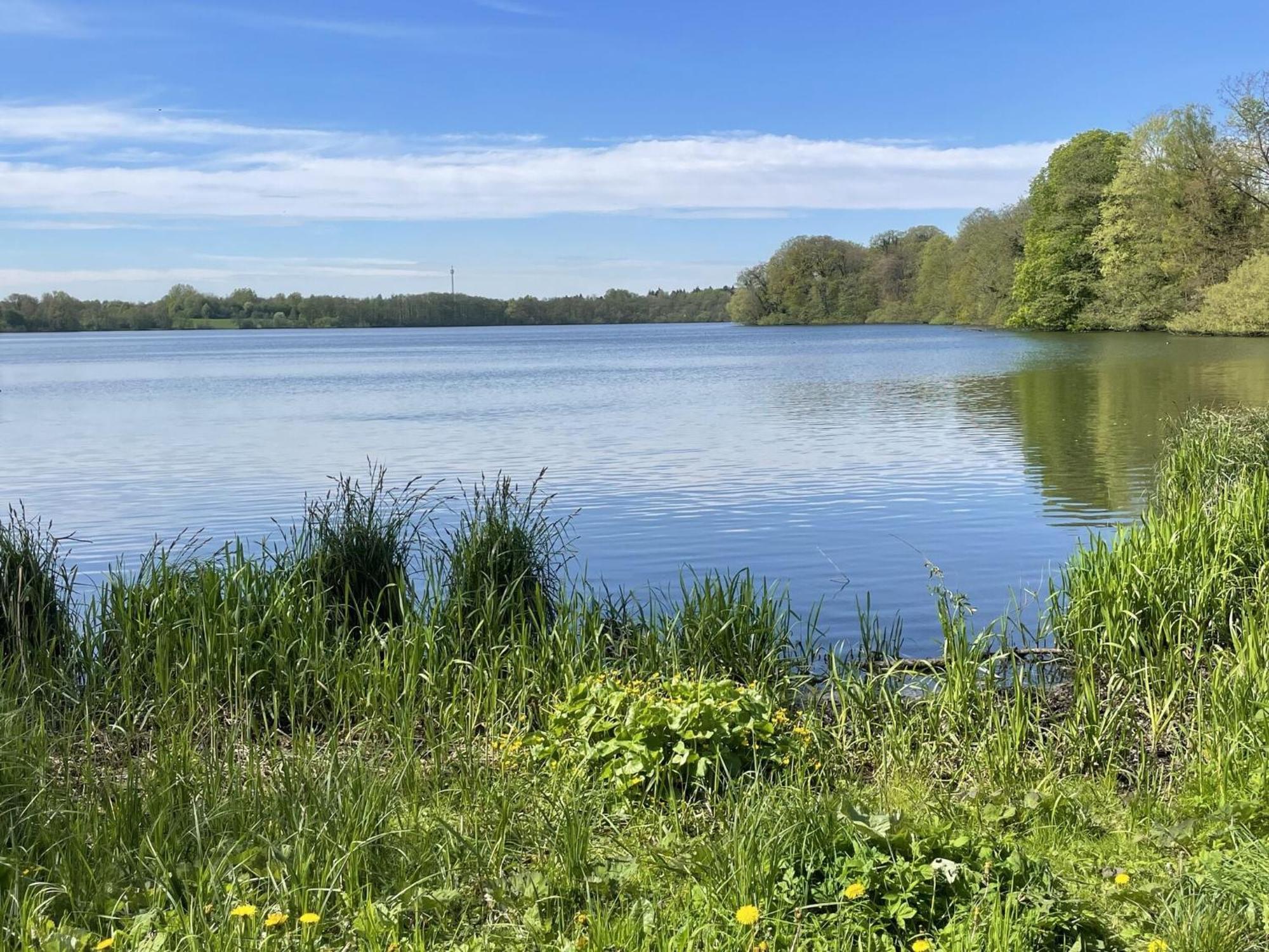 Flat In Eutin On The Kleiner Eutiner See Lake Exteriér fotografie